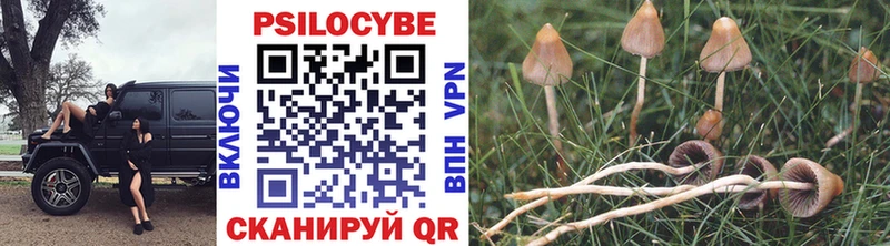 Псилоцибиновые грибы MAGIC MUSHROOMS купить наркоту Советский