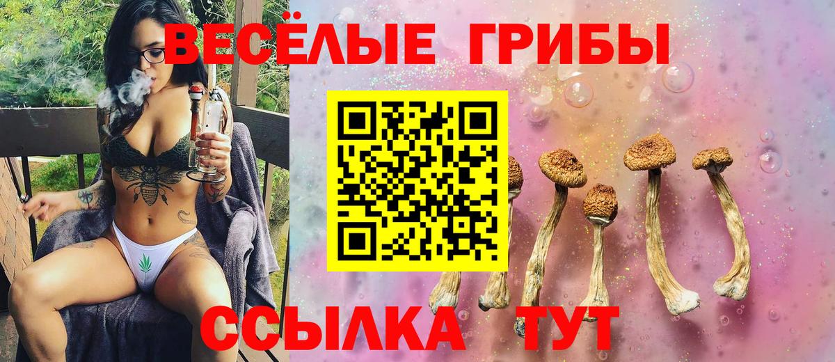 Галлюциногенные грибы Psilocybine cubensis Советский