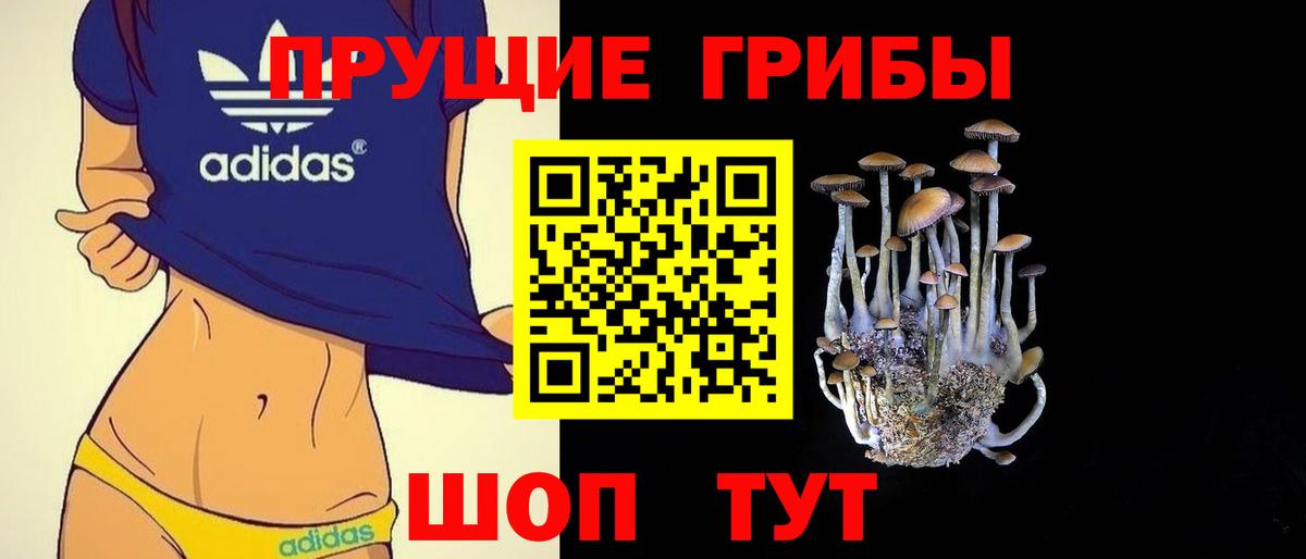 Псилоцибиновые грибы Psilocybe  Вход с VPN  Советский 
